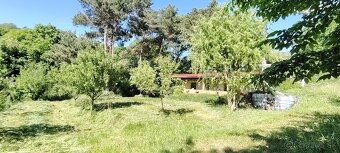 na samote u lesa - 3