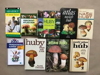 Božská komédia, Turecké nebezpečenstvo a Slovensko, Stropkov - 3