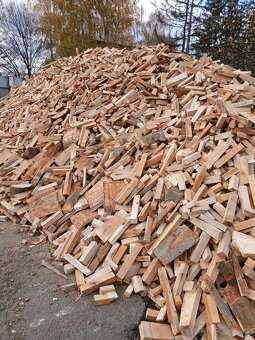 Palivové drevo buk - 3