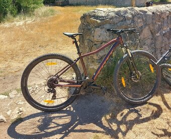 Scott Contessa active - 3