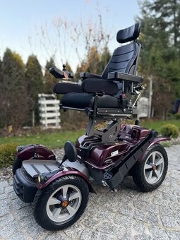 Terenny elekrticky vozik - 3