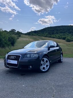 Audi A3 1.9tdi 77kw (2007) - 3
