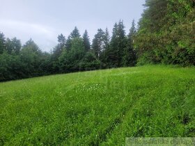 Rekreačný pozemok uprostred lesa pri Považskej Bystrici - 3