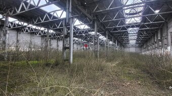 Pozemok na predaj – 8 216 m² – s čiastočne postaveným skelet - 3