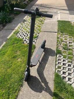 Segway ninebot kickscooter - 3