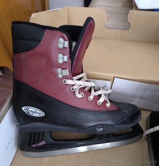 Predám pánske korčule veľkosť - 9 - 3
