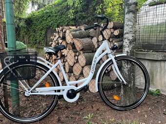 Dámsky bicykel RETRO COSSACK - 3