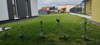 Rakusko novostavba Ginzersdorf - 3