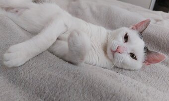 stelesnenie pokoja - 3