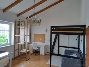 VEĽKÁ IZBA s vysokým stropom - 3