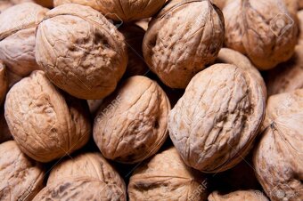 Stromčeky. Bordový kráľovský orech. - 3