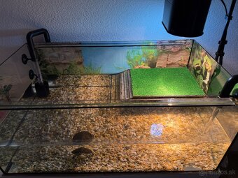 Korytnačka s vybavením - 3