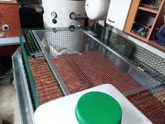 Predám odchovnu - 3