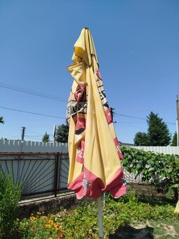 Slnečník - 3