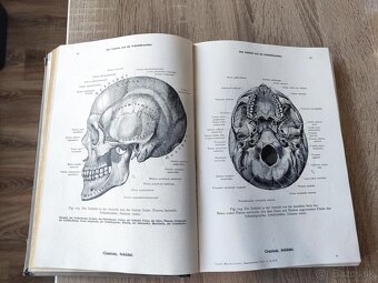 Toldtuv Anatomický atlas - 3