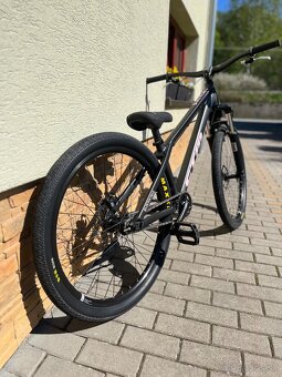 CTM Dirtking 2022 - 3