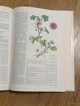 Atlas liečivých rastlín a lesných plodov - 3