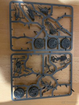 Thorns of the briar queen - 3