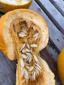 Bio tekvicové jadierka ručne vyberané - 3