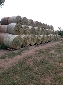 Balíky guľaté - lucerka - 3