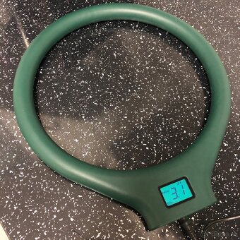 BioTorus LT-100 - 3