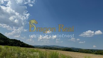 PREDAJ – Investičný pozemok o rozlohe 2768 m2- VEĽKÝ ŠARIŠ - 3