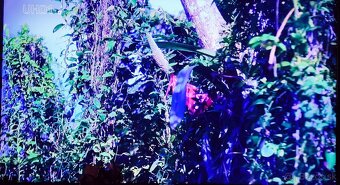 LG  Smart 75UM7600PLB - 3