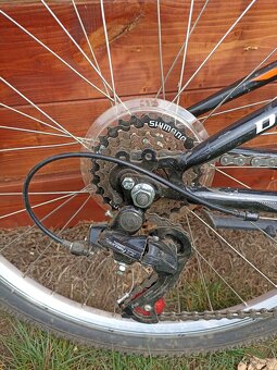 Detský bicykel Dema Iseo 24 - 3