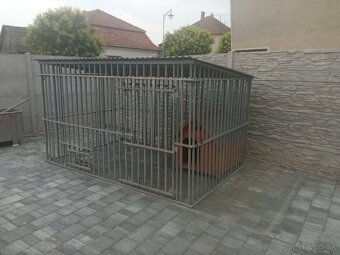 Vonkajšia voliéra pre psa s búdou - 3