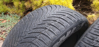 NEXEN, ZIMNE, CELOROCNE, 225/55 R16 - 3