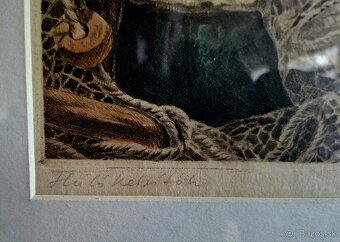 József Csáki-Maronyák - 3