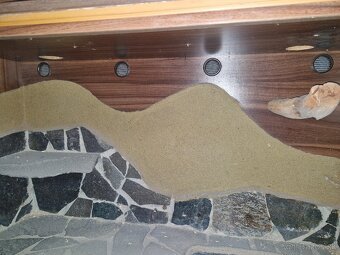 Darujem terárium - 3