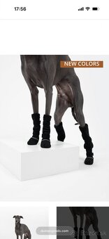 Zimne topanky taliansky chrtik - 3