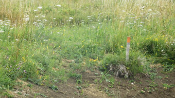 Exkluzívne na predaj – stavebný pozemok v Blatnici, časť Seb - 3