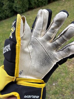 Bauer - Ultrasonic - 3