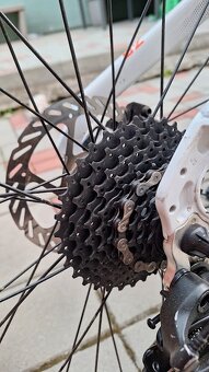 Crussis e - cross - 3