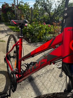 Kellys Clea 90 M red - 3