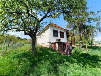 Viničný domček s pozemkom - 3