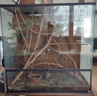 Terarium - 3