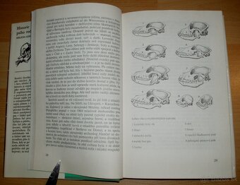 Historie psího rodu - 3