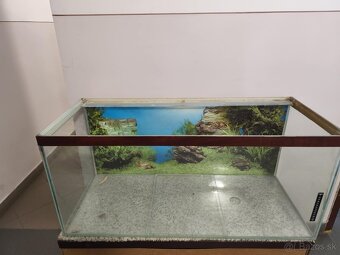 Akvárium použiteľné uz iba ako terarium - 3