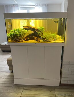 Akvarium Juwel 180l - 3