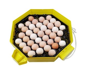 Automatická Liaheň na vajcia CLEO 5 DTH AUTOMATIC - 3