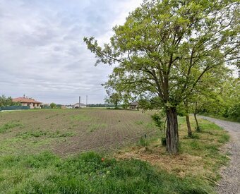 NA PREDAJ 3 STAVEBNÉ POZEMKY V HORNÝCH JANÍKOCH – S ELEKTROM - 3