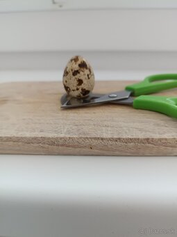 prepeličie vajíčka - 3