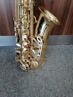 SAXOFÓN PARROT - 3