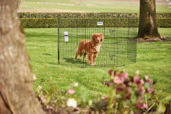 Savic ohrádka dog park 2 + bonus : luxusná vnútorná búda - 3