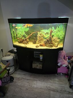 Predám akvárium JUWEL 240l - 3