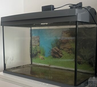 Akvárium tetra 60 l + vonk.filter Oase FiltroSmart Thermo100 - 3