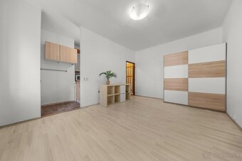SVETLÁ GARSÓNKA, MUROVANÁ PIVNICA, NÍZKE NÁKLADY, OSTREDKY - 3